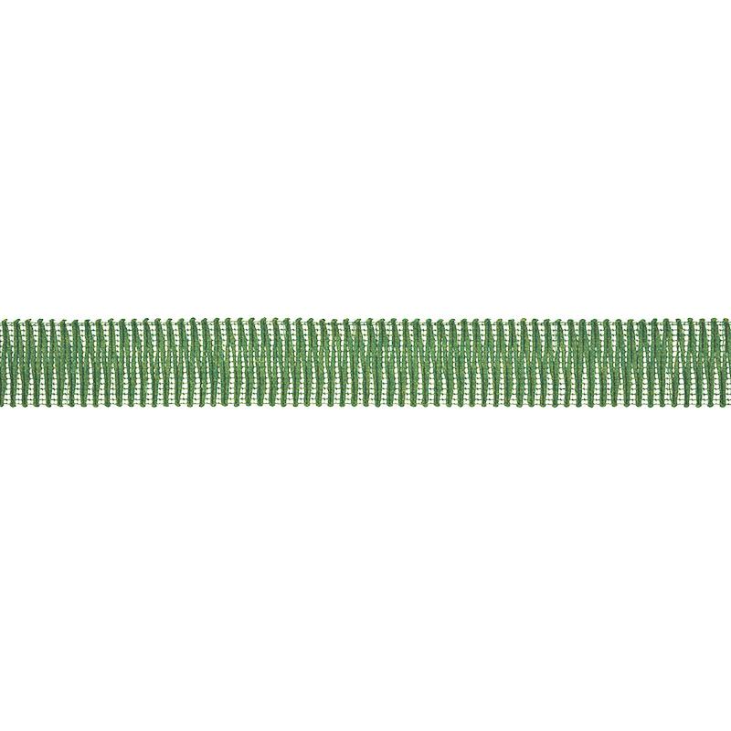 Schumacher Pierce Tape Indoor/Outdoor Green Trim