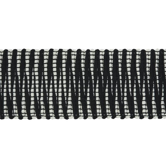 Schumacher Pierce Tape Indoor/Outdoor Black Trim