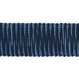 Schumacher Pierce Tape Indoor/Outdoor Blue Trim