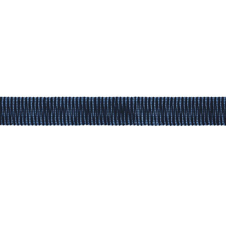 Schumacher Pierce Tape Indoor/Outdoor Blue Trim