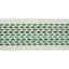 Schumacher Portola Tape Indoor/Outdoor Green Trim