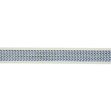 Schumacher Portola Tape Indoor/Outdoor Blue Trim