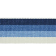 Schumacher Ombre Tape Indoor/Outdoor Blue Trim