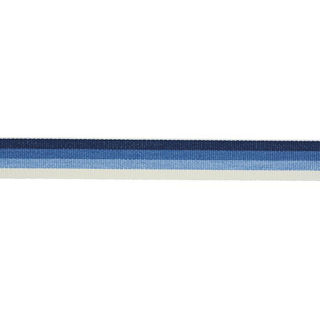 Schumacher Ombre Tape Indoor/Outdoor Blue Trim