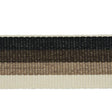 Schumacher Ombre Tape Indoor/Outdoor Neutral Trim