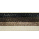 Schumacher Ombre Tape Indoor/Outdoor Neutral Trim