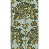 Cole & Son ORANGE BLOSSOM LEMON/DK OLIVE GRN/DUCK EGG Wallpaper