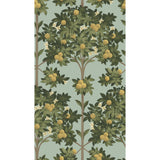 Cole & Son ORANGE BLOSSOM LEMON/DK OLIVE GRN/DUCK EGG Wallpaper
