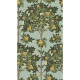Cole & Son Orange Blossom Lemon/Dk Olive Grn/Duck Egg Wallpaper