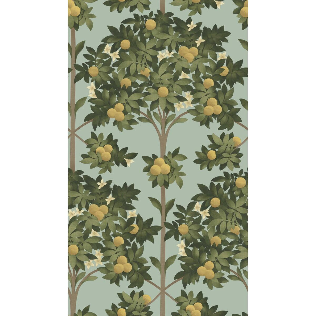Cole & Son Orange Blossom Lemon/Dk Olive Grn/Duck Egg Wallpaper