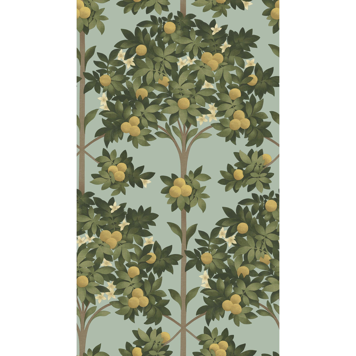 Cole & Son ORANGE BLOSSOM LEMON/DK OLIVE GRN/DUCK EGG Wallpaper