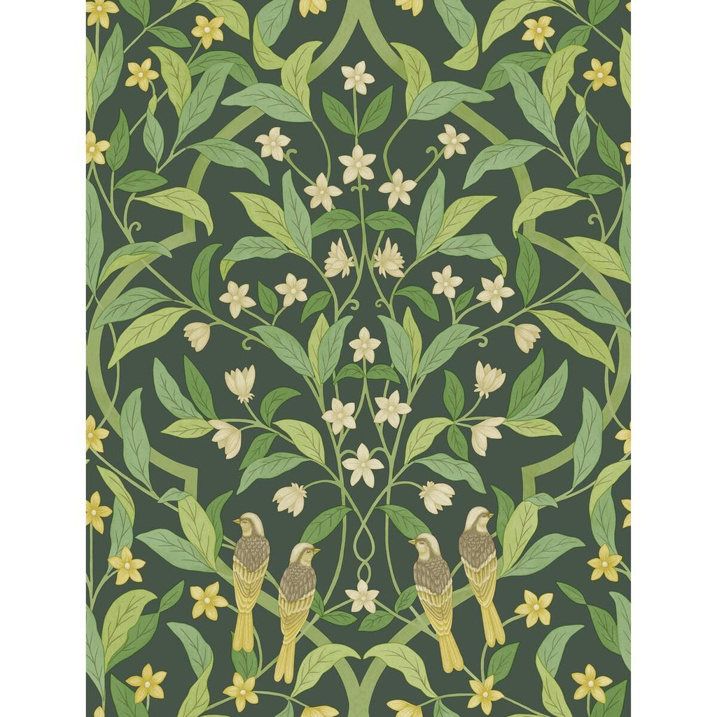 Cole & Son JASMINE & SERIN SYMPHONY YELLOW/GRN/FOREST Wallpaper