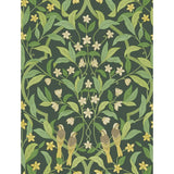 Cole & Son Jasmine & Serin Symphony Yellow/Grn/Forest Wallpaper