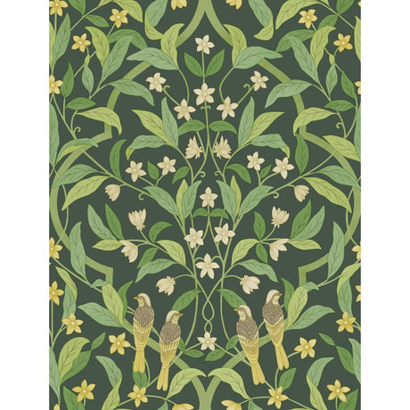 Cole & Son Jasmine & Serin Symphony Yellow/Grn/Forest Wallpaper
