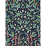 Cole & Son JASMINE & SERIN SYMPHONY CORAL/PETROL/INK Wallpaper