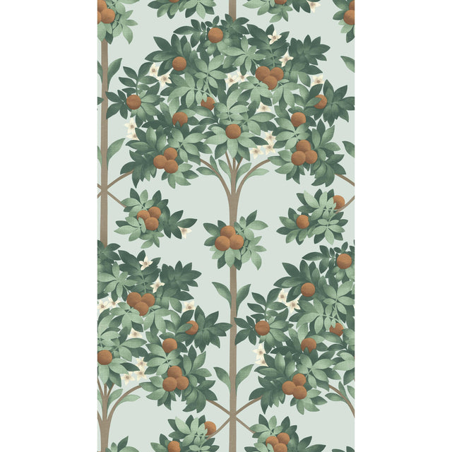 Cole & Son ORANGE BLOSSOM BURNT ORANGE/MINT/SEAFOAM Wallpaper