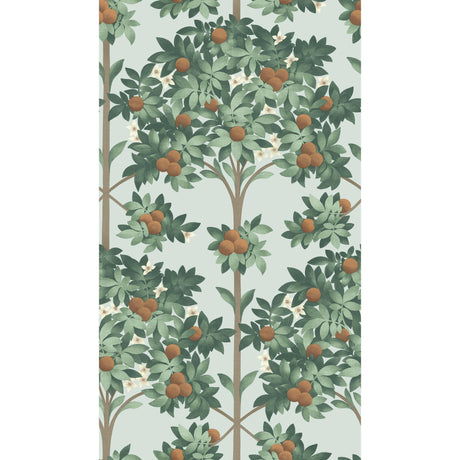 Cole & Son ORANGE BLOSSOM BURNT ORANGE/MINT/SEAFOAM Wallpaper