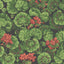 Cole & Son GERANIUM ROUGE & LEAF GREENS ON BLACK Wallpaper