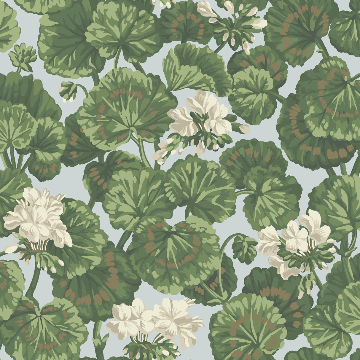 Cole & Son GERANIUM WHITE & SAGE ON SEAFOAM Wallpaper