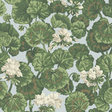 Cole & Son GERANIUM WHITE & SAGE ON SEAFOAM Wallpaper