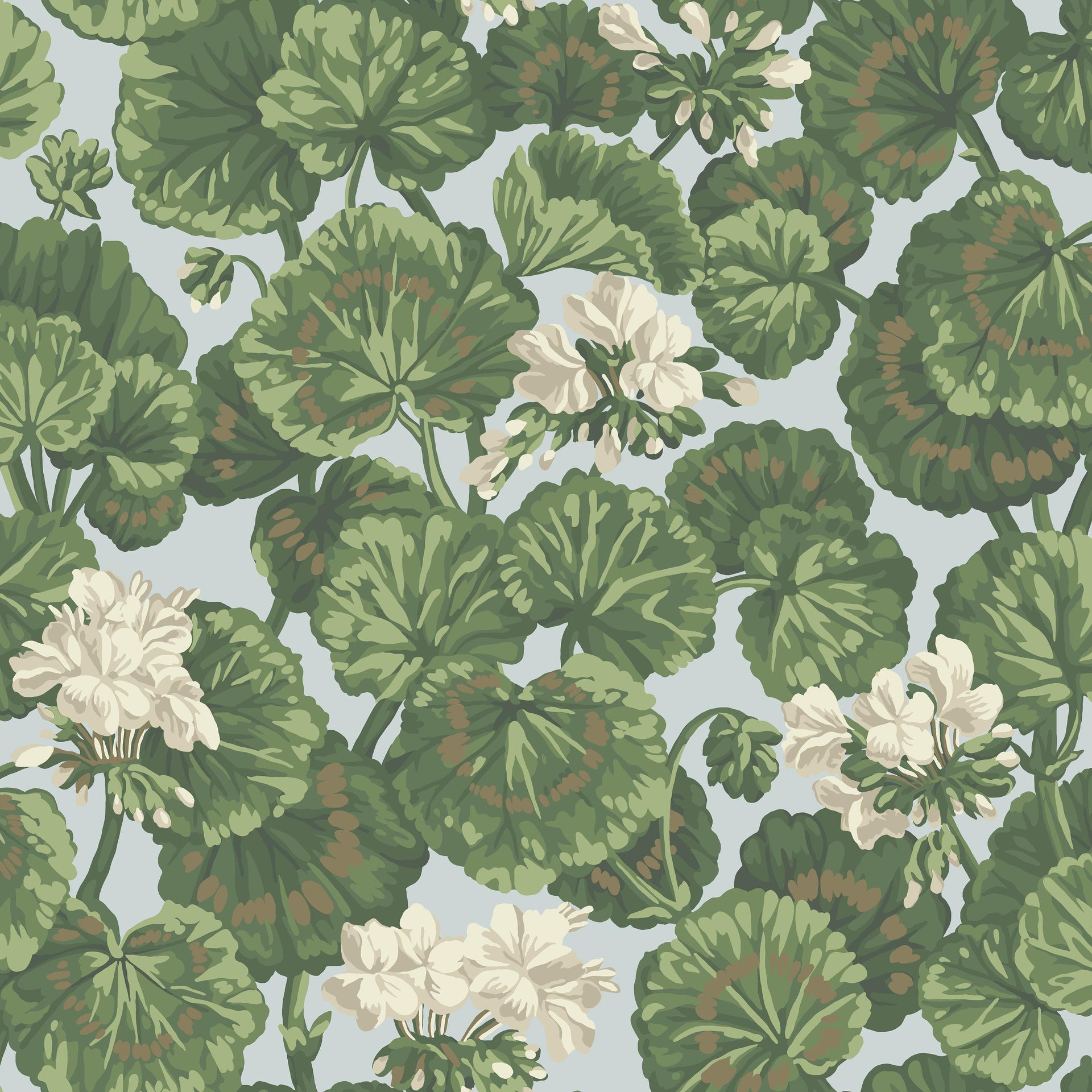 Cole & Son Geranium White & Sage On Seafoam Wallpaper