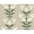 Cole & Son ANGELS TRUMPET CHALK & SAGE ON STONE Wallpaper