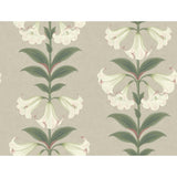 Cole & Son ANGELS TRUMPET CHALK & SAGE ON STONE Wallpaper