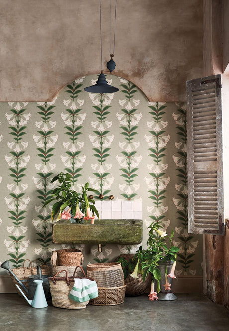 Cole & Son ANGELS TRUMPET CHALK & SAGE ON STONE Wallpaper