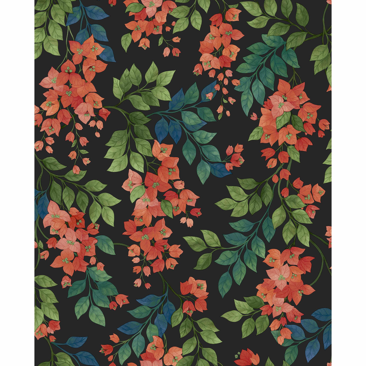Cole & Son BOUGAINVILLEA ROUGE/GREEN/C SKY/CHARCOAL Wallpaper