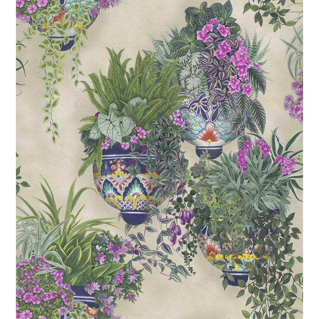Cole & Son TALAVERA WP MAGENTA & SPRING GREENS ON STONE Wallpaper