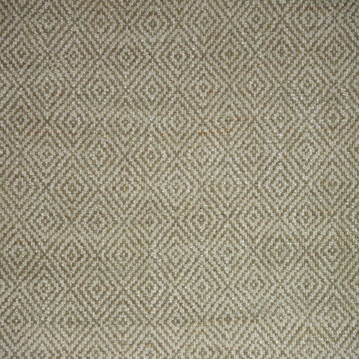 Kravet IZU MELON Fabric