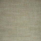 Kravet IZU MELON Fabric