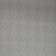 Kravet IGUAZU PLATINUM Fabric