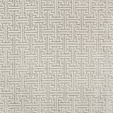 Kravet GUEST HOUSE PLATINUM Fabric