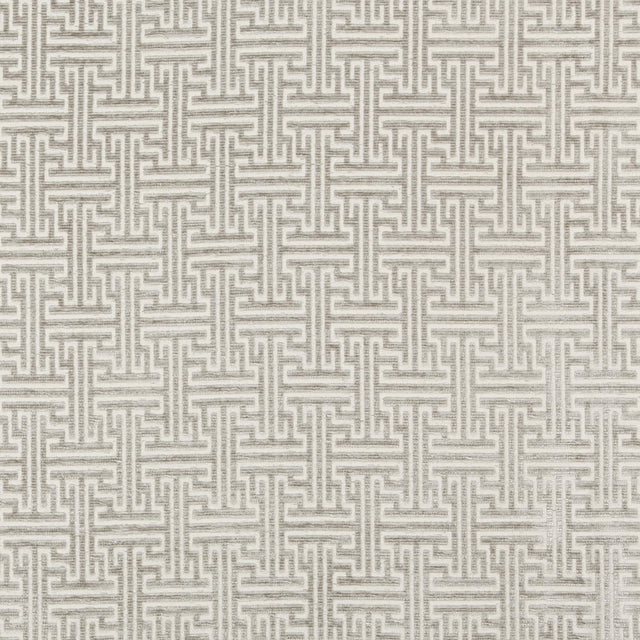 Kravet GUEST HOUSE PLATINUM Fabric