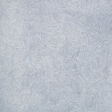Kravet DENDERA CHAMBRAY Fabric