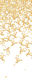 Kravet FALLING GINKGO AUTUMN Wallpaper