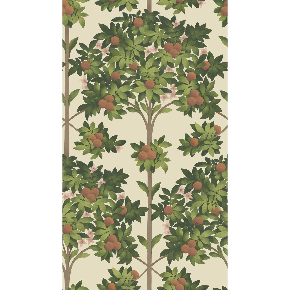 Cole & Son ORANGE BLOSSOM ORANGE & SPRING GREEN/PARCH Wallpaper
