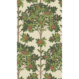 Cole & Son ORANGE BLOSSOM ORANGE & SPRING GREEN/PARCH Wallpaper