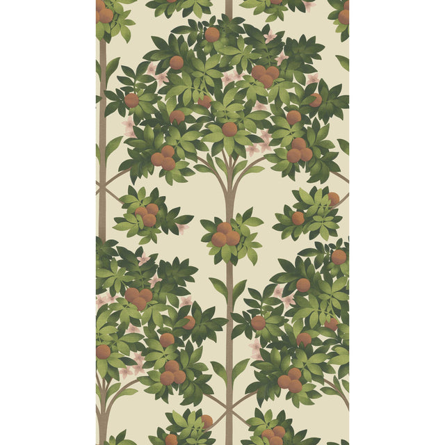 Cole & Son ORANGE BLOSSOM ORANGE & SPRING GREEN/PARCH Wallpaper