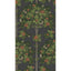 Cole & Son ORANGE BLOSSOM ORANGE & SPRING GREEN/BLACK Wallpaper