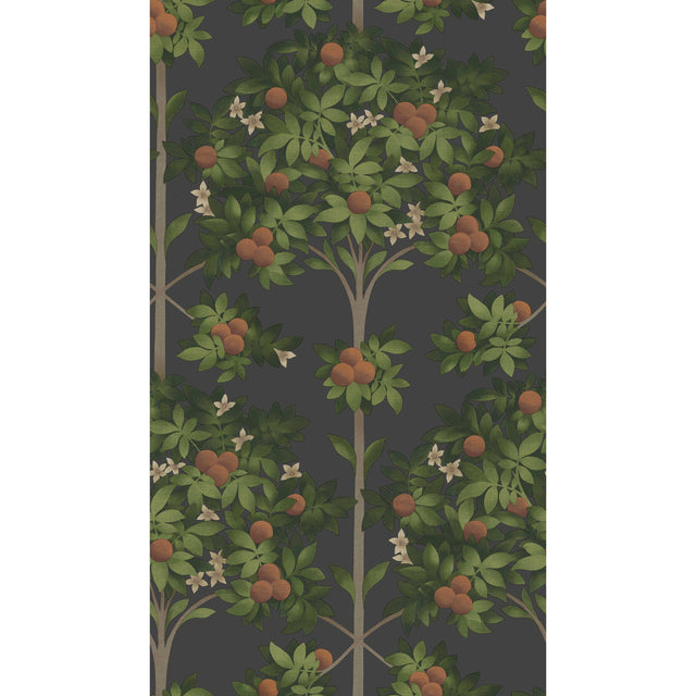 Cole & Son ORANGE BLOSSOM ORANGE & SPRING GREEN/BLACK Wallpaper