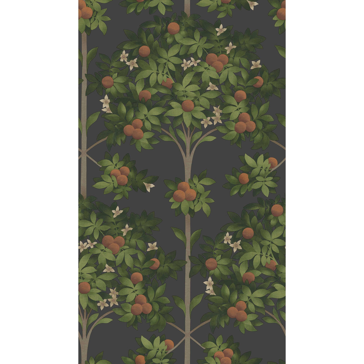 Cole & Son ORANGE BLOSSOM ORANGE & SPRING GREEN/BLACK Wallpaper