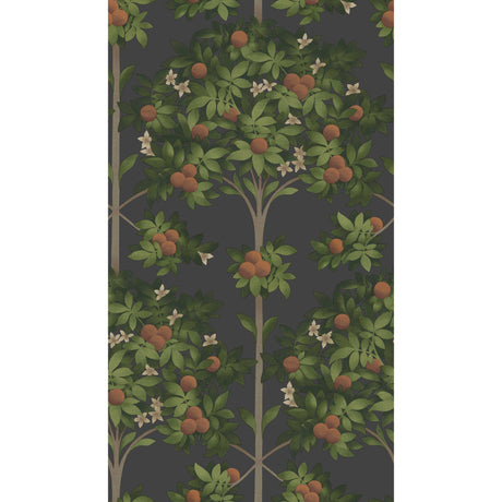 Cole & Son ORANGE BLOSSOM ORANGE & SPRING GREEN/BLACK Wallpaper