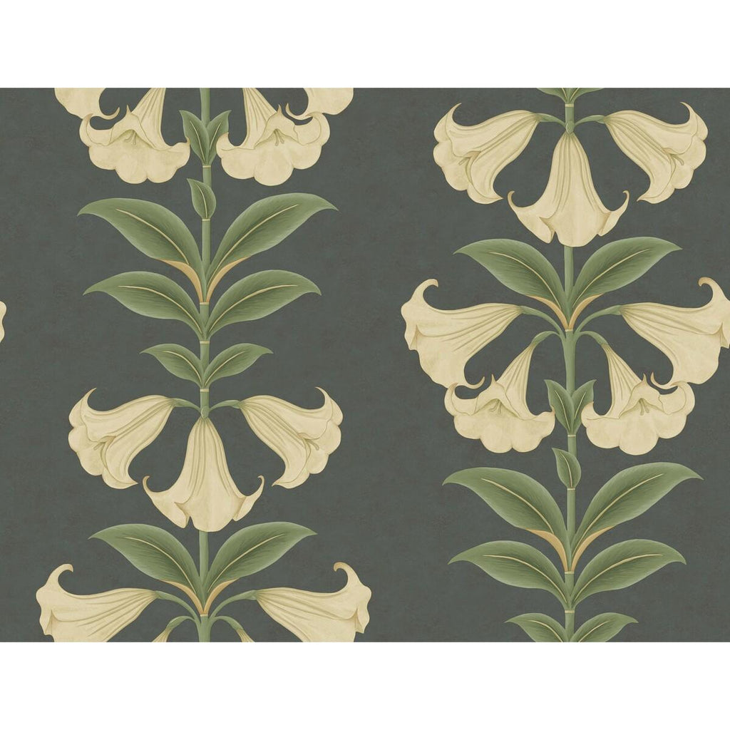 Cole & Son ANGELS TRUMPET CREAM/OLIVE GREEN/CHARCOAL Wallpaper