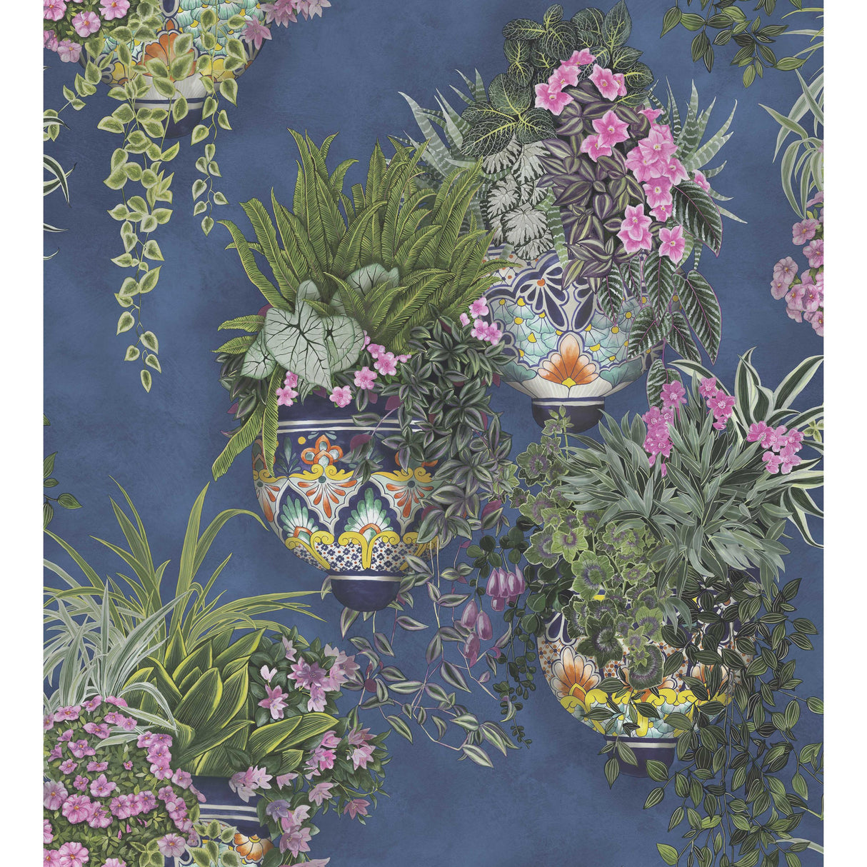 Cole & Son TALAVERA WP FUCHSIA/FOREST GREEN/CERULEAN SKY Wallpaper