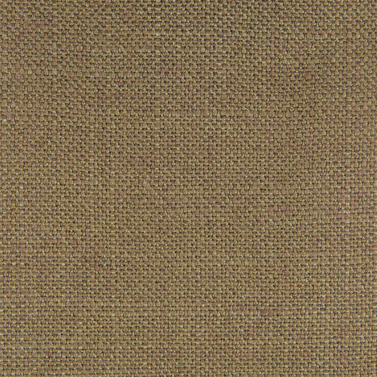 Gaston Y Daniela PERU KAKI Fabric
