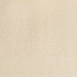 Gaston Y Daniela LIMA CRUDO Upholstery Fabric