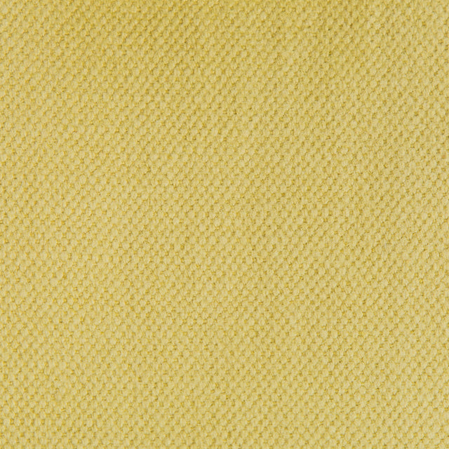 Gaston Y Daniela LIMA TRIGO Upholstery Fabric