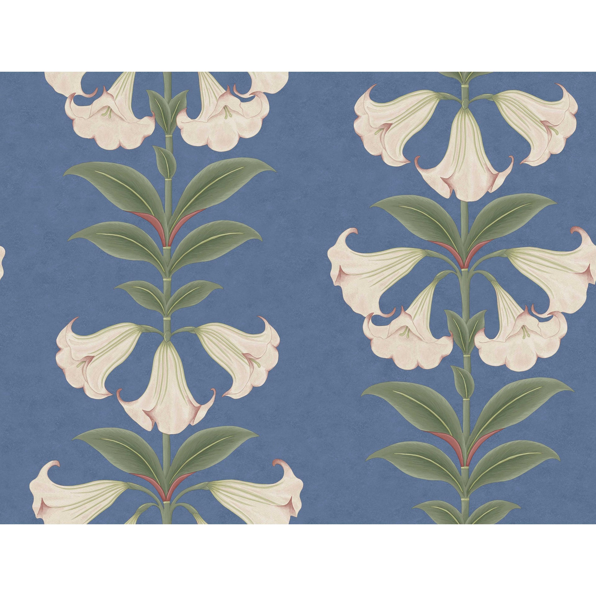 Cole & Son Angels Trumpet Ballet Slipper/Sage/C Sky Wallpaper